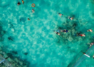Individuals are snorkeling in clear turquoise water, with a few wearing bright swimming gear. There is a visible circular buoy floating, and dark patches of coral or underwater rocks are noticeable beneath the surface.