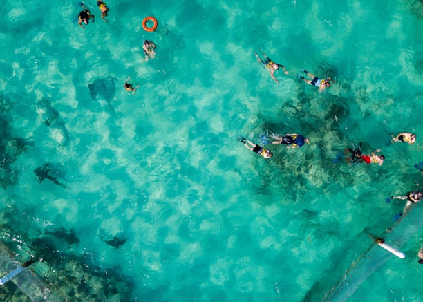 Individuals are snorkeling in clear turquoise water, with a few wearing bright swimming gear. There is a visible circular buoy floating, and dark patches of coral or underwater rocks are noticeable beneath the surface.