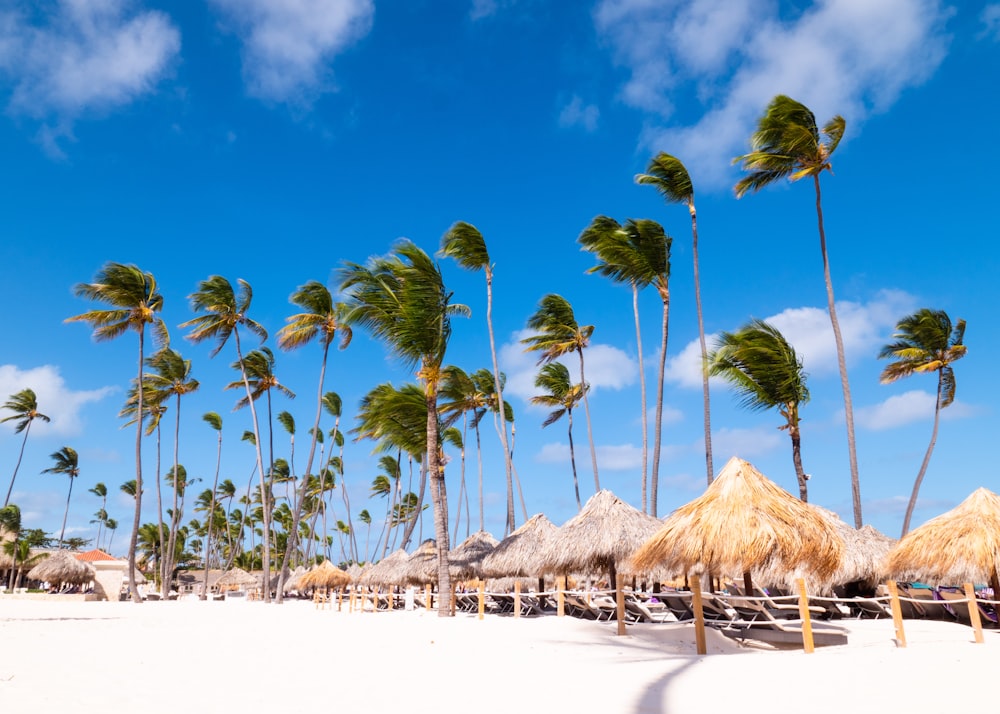 brown beach umbrellas on white sand near palm trees under blue sky during daytime