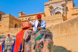 man in blue dress shirt riding on black elephant during daytime