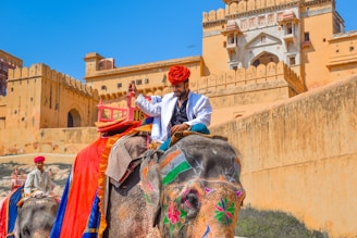 man in blue dress shirt riding on black elephant during daytime