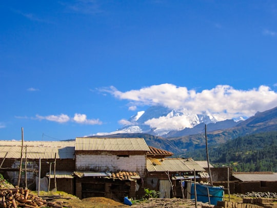 brown concrete building near green trees under blue sky during daytime in Huaraz Peru