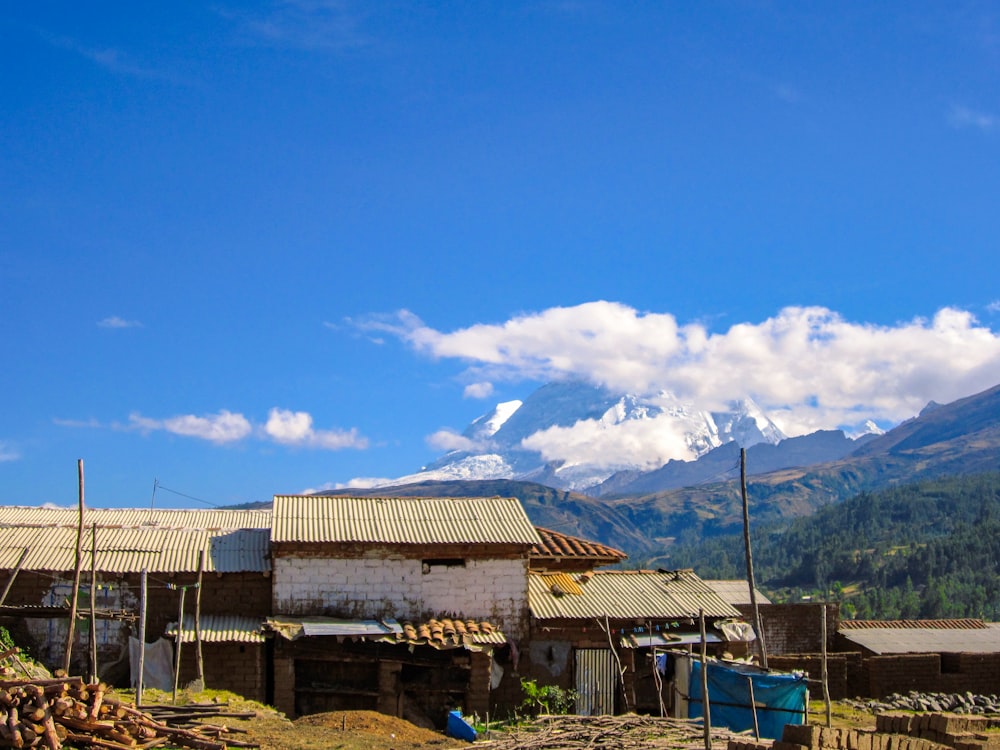 brown concrete building near green trees under blue sky during daytime