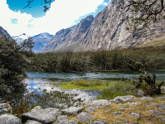 brown grass on rocky mountain during daytime in Huascarán National Park Peru