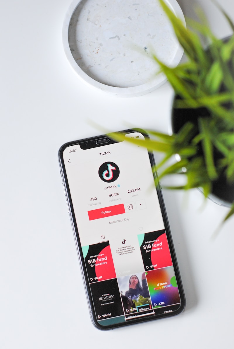 TikTok content analytics and performance overview