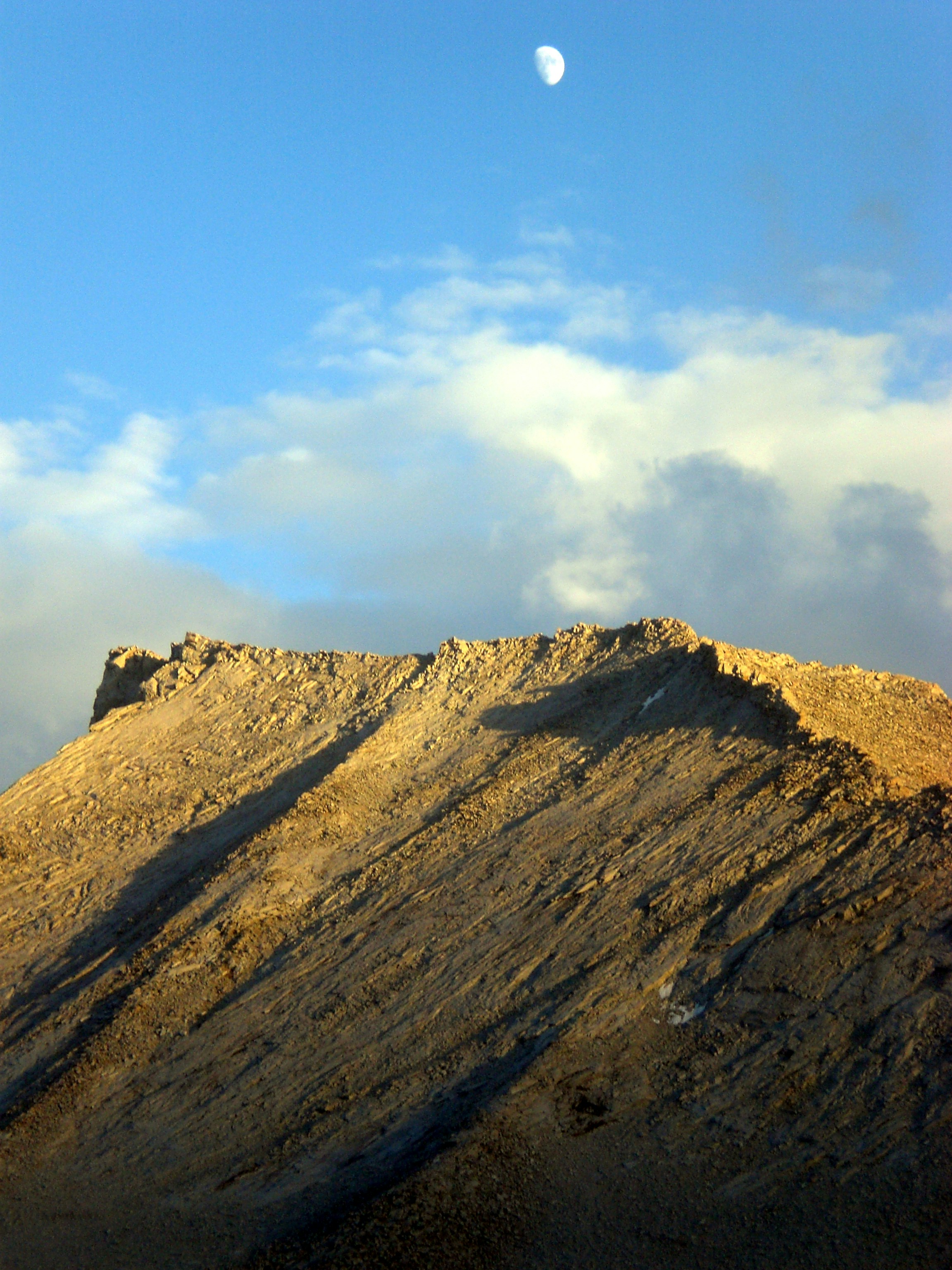 Photo by diggity_dog