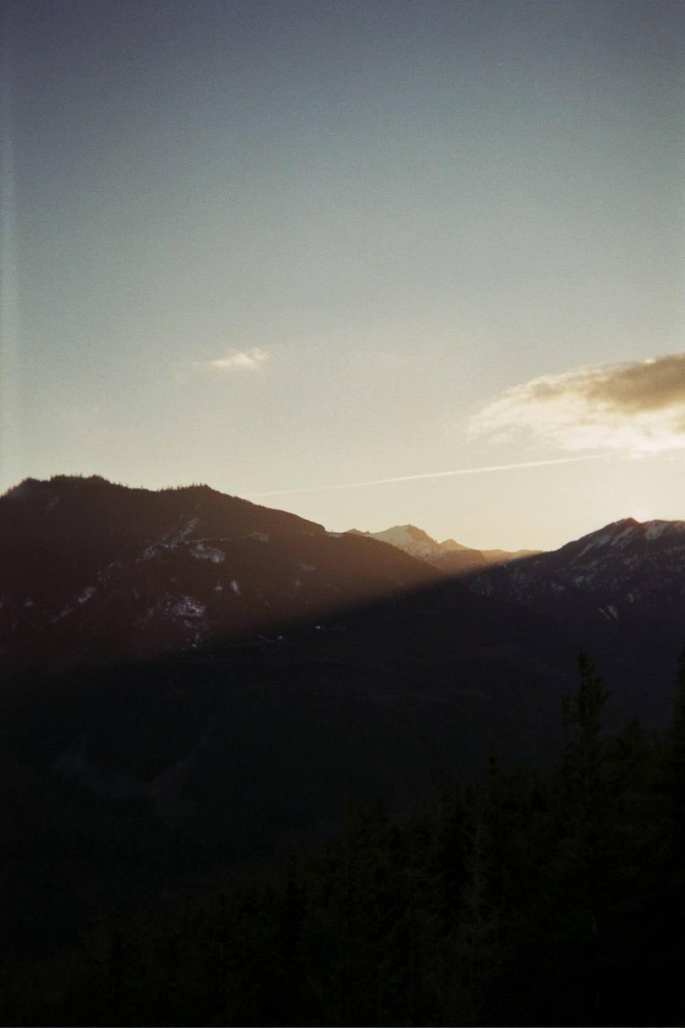 silhouette of trees and mountains during daytime