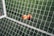 A close-up view of a football pitch, with a focus on two bright orange markers near the goal net. The green artificial turf is marked with a white line, and the net adds a texture to the scene.