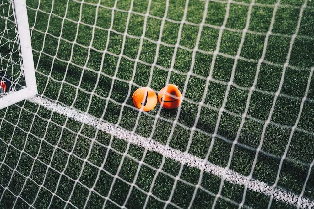 2 orange fruits on green field