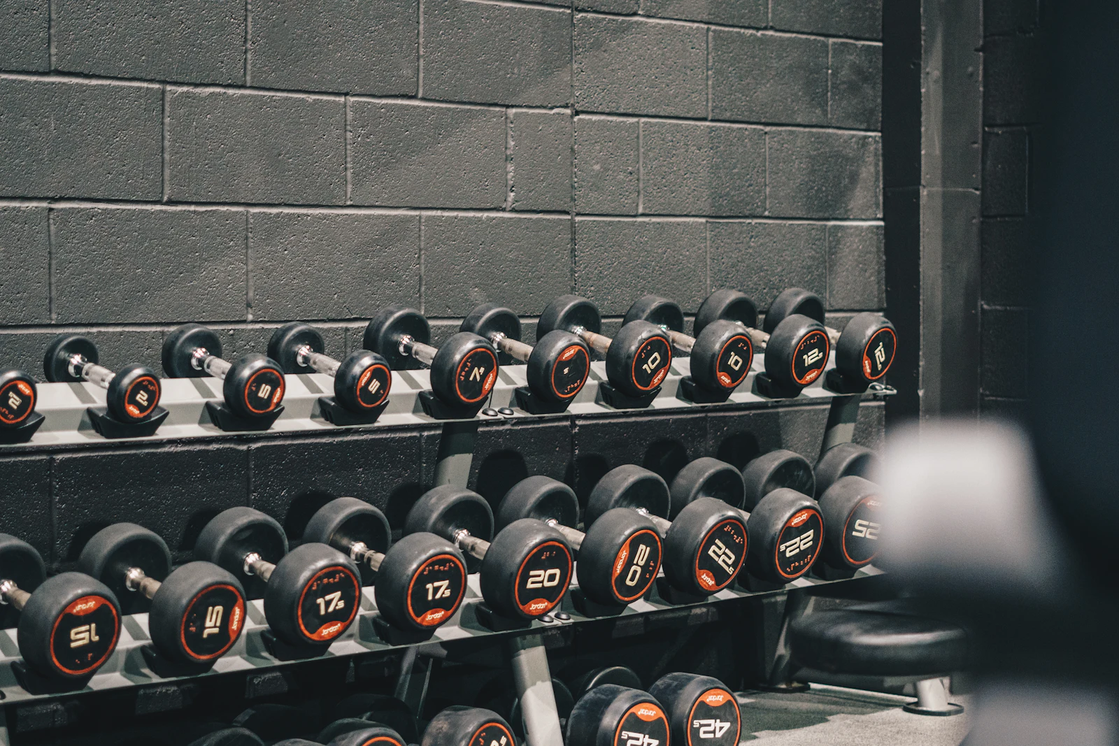 Kettlebells lined up on a rack in a training studio