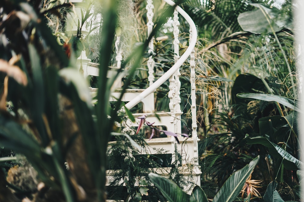 white metal frame near green plants