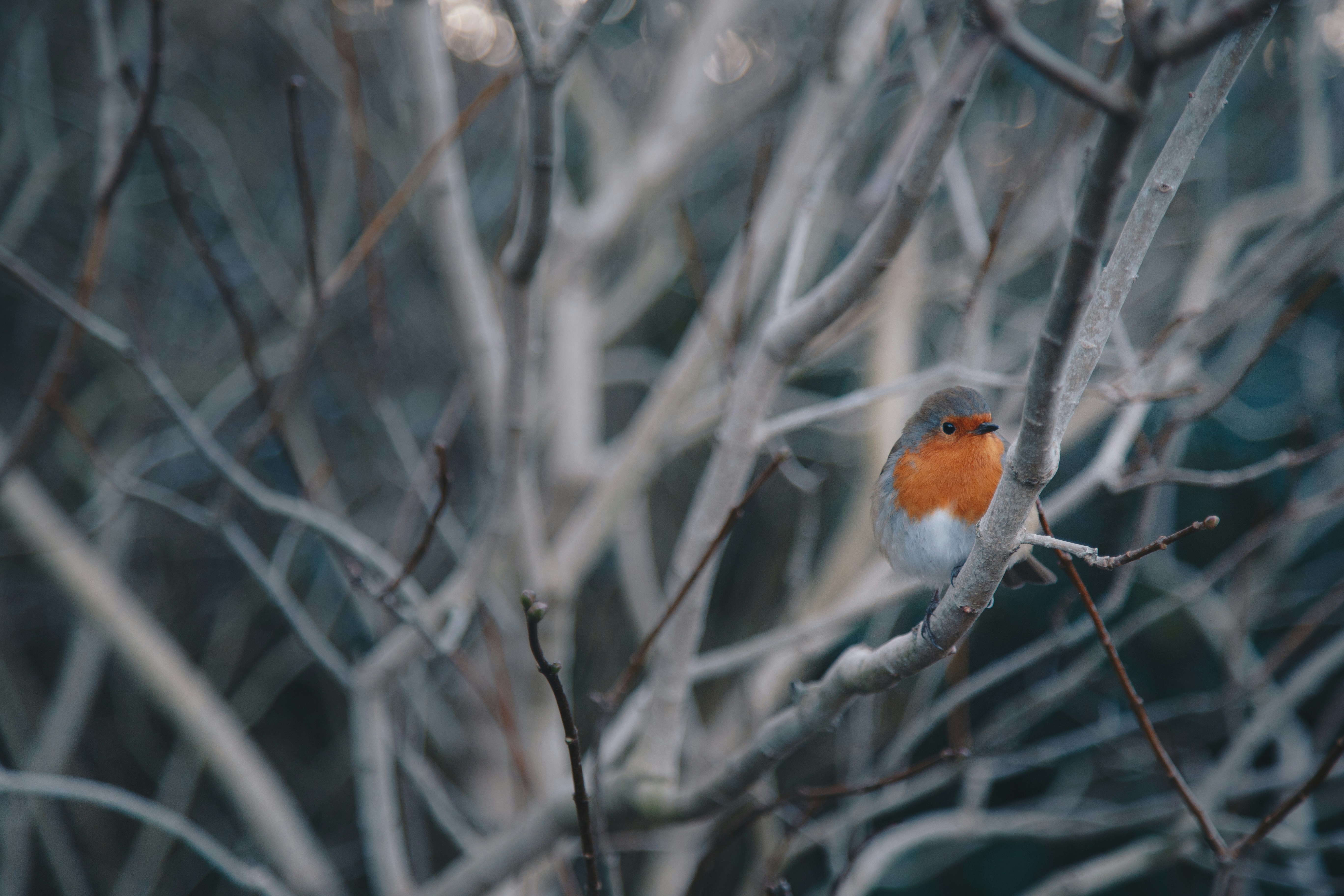 Photo by weareambitious