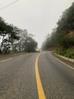 gray concrete road between green trees during daytime