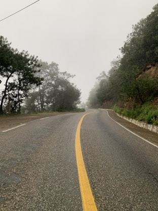 gray concrete road between green trees during daytime