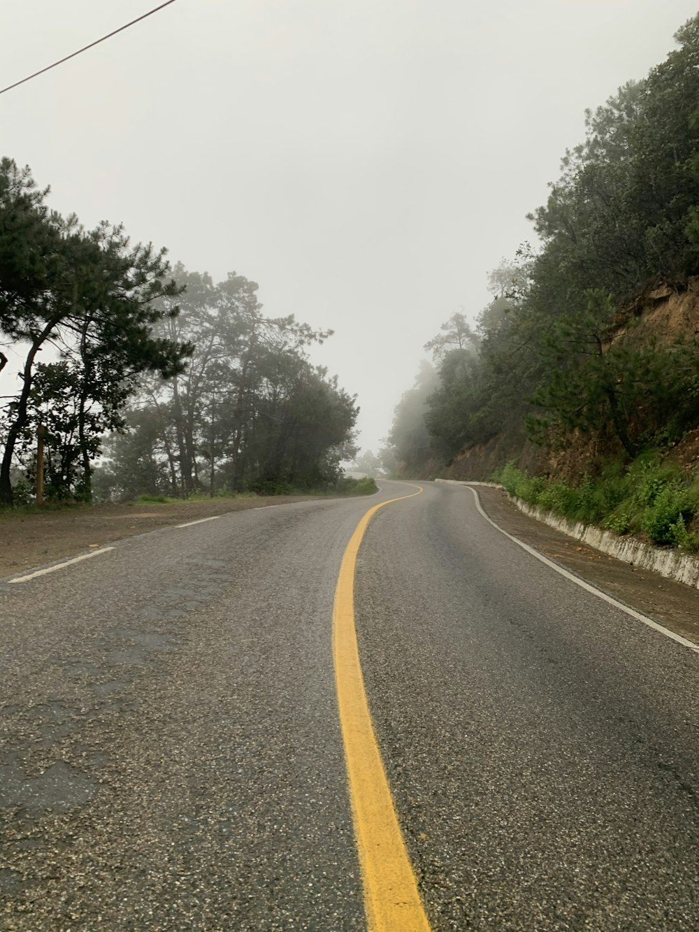 gray concrete road between green trees during daytime