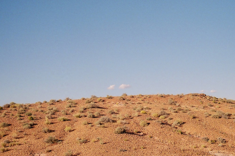 brown sand under blue sky during daytime