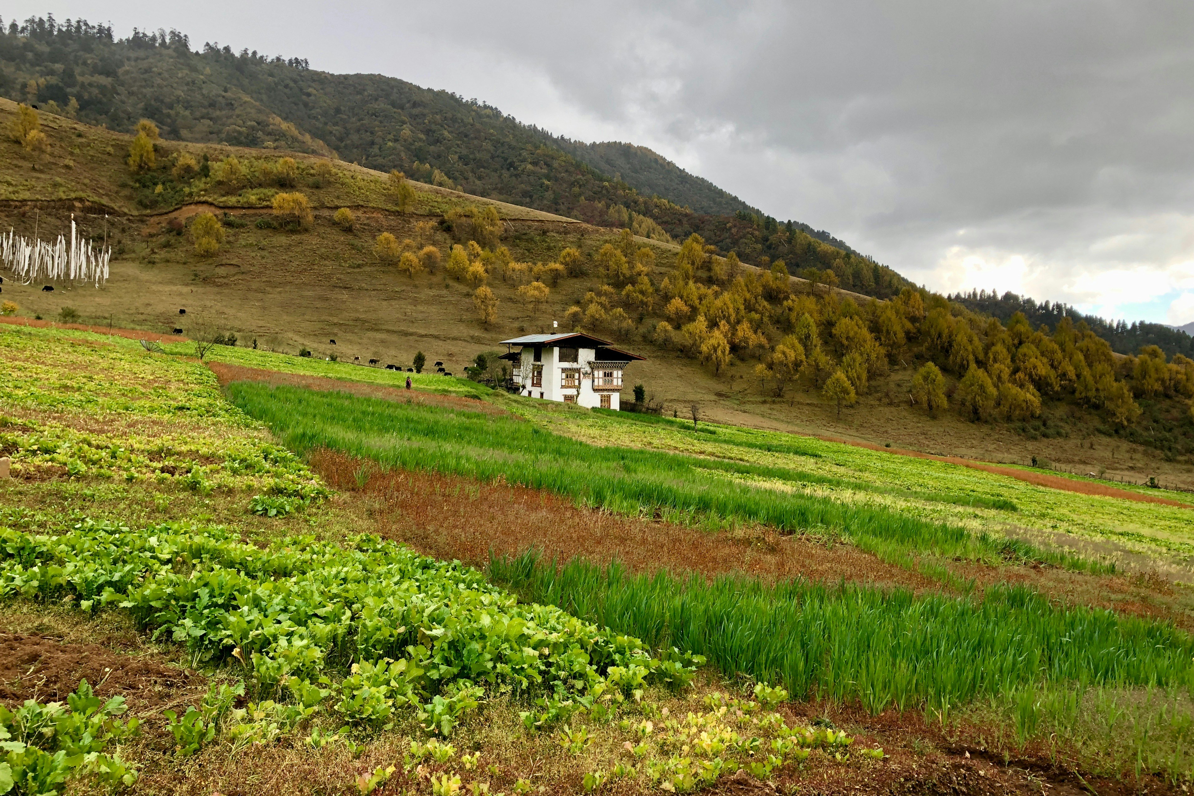 KOP desteğiyle hayata geçecek 128 milyon liralık 22 tarımsal projenin imzaları atıldı - Ekonomi haberi görseli