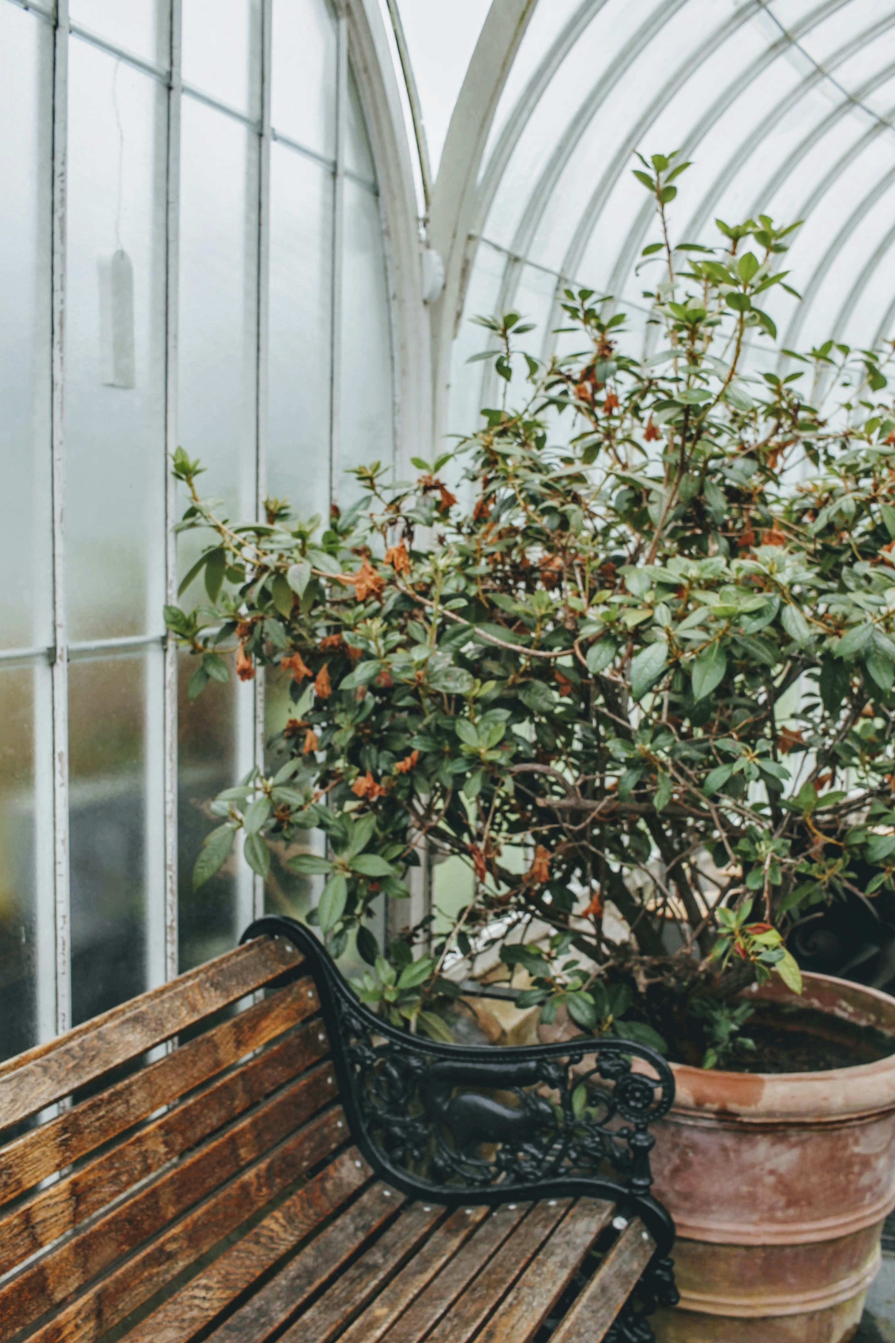 Photo by dorienmonnens