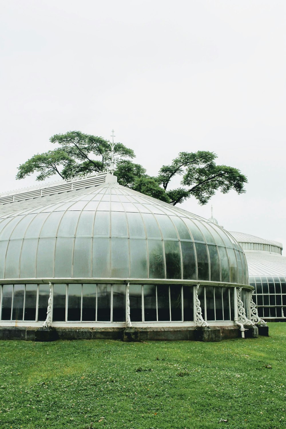 white metal frame glass building