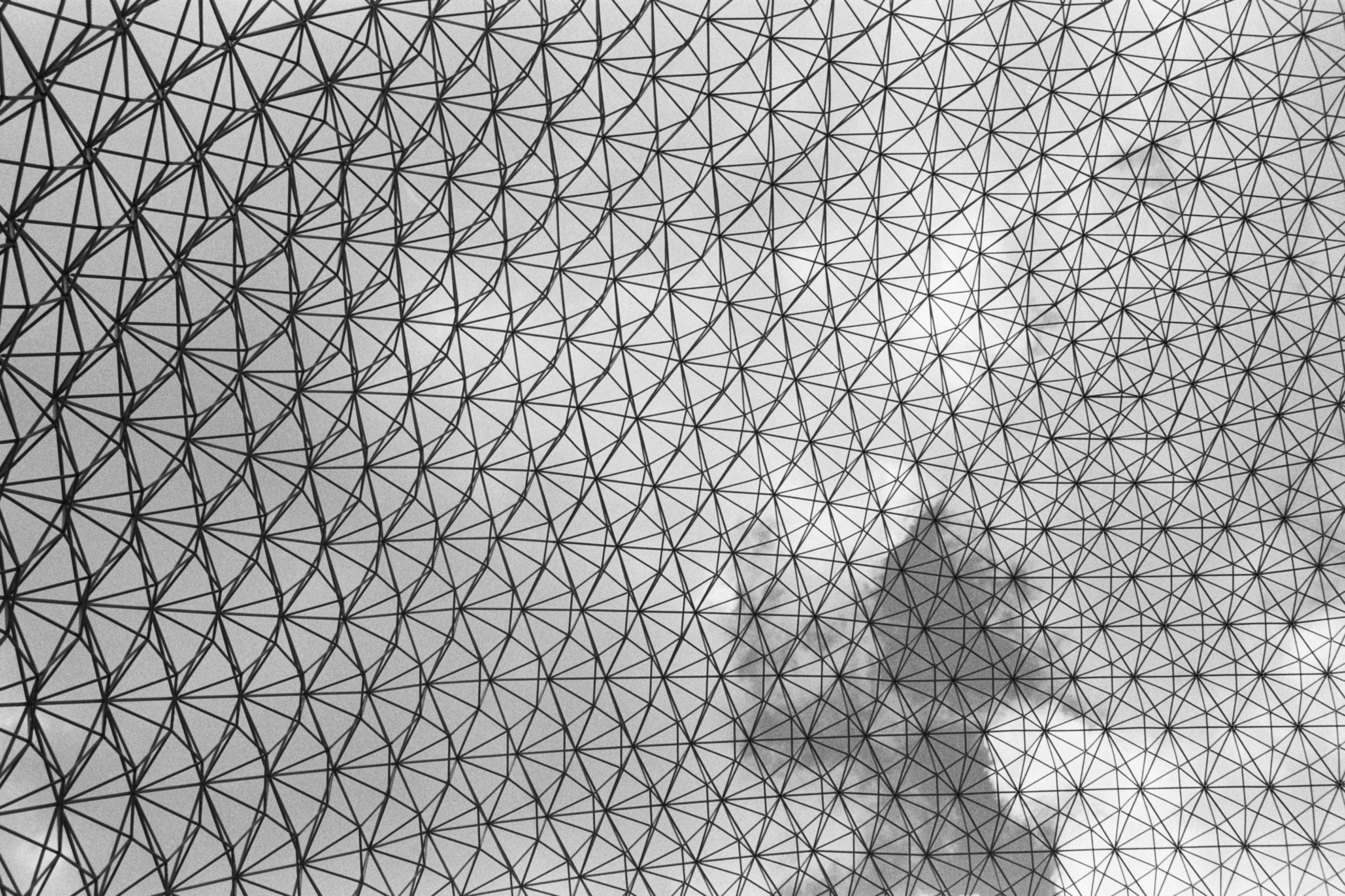 Photo by guillaume_t