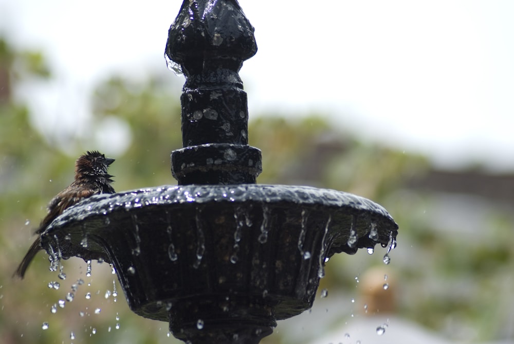 Fuente exterior de hormigón negro durante el día