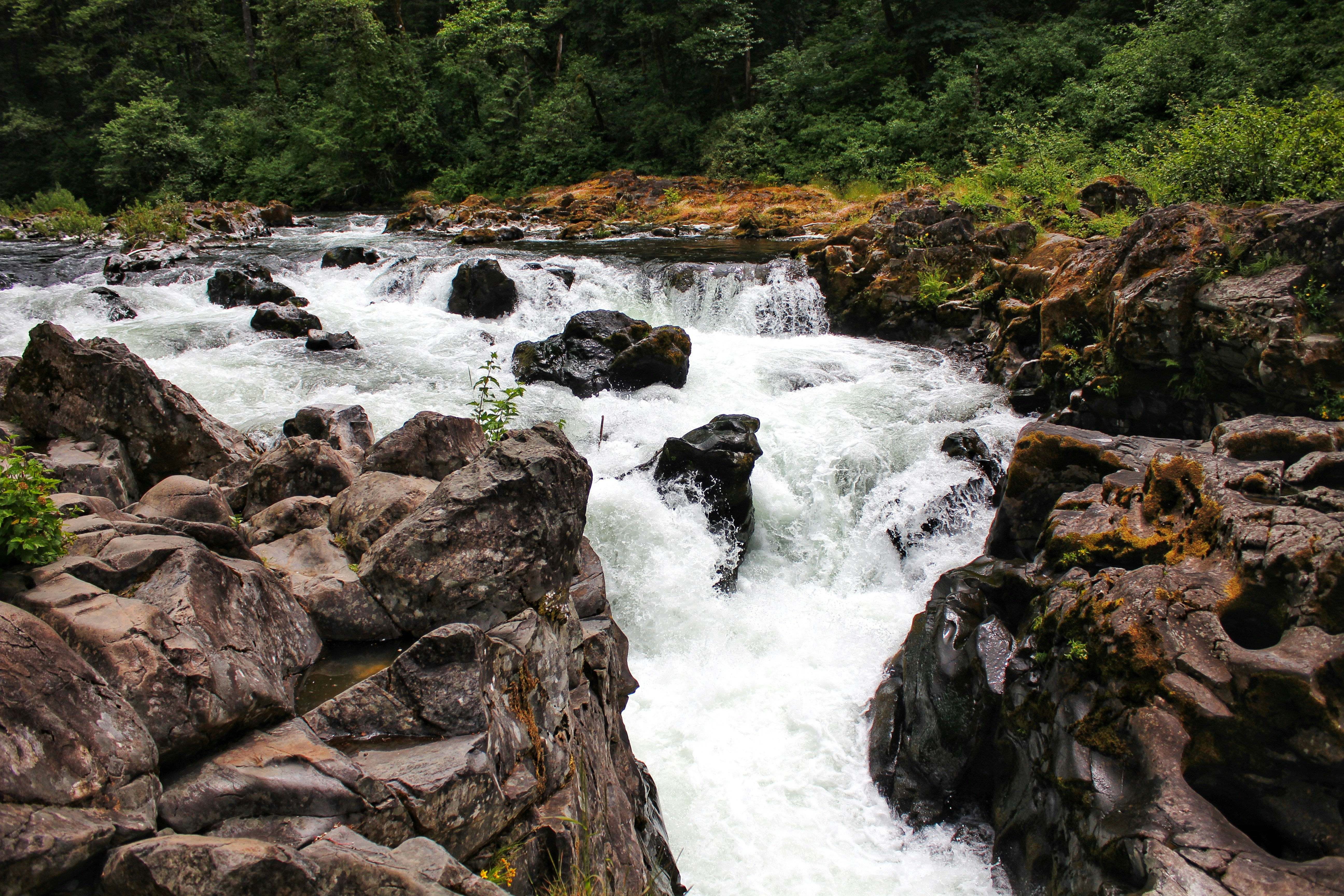 Photo by starlena_belle