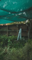 A gardener tending to a beautiful green garden.