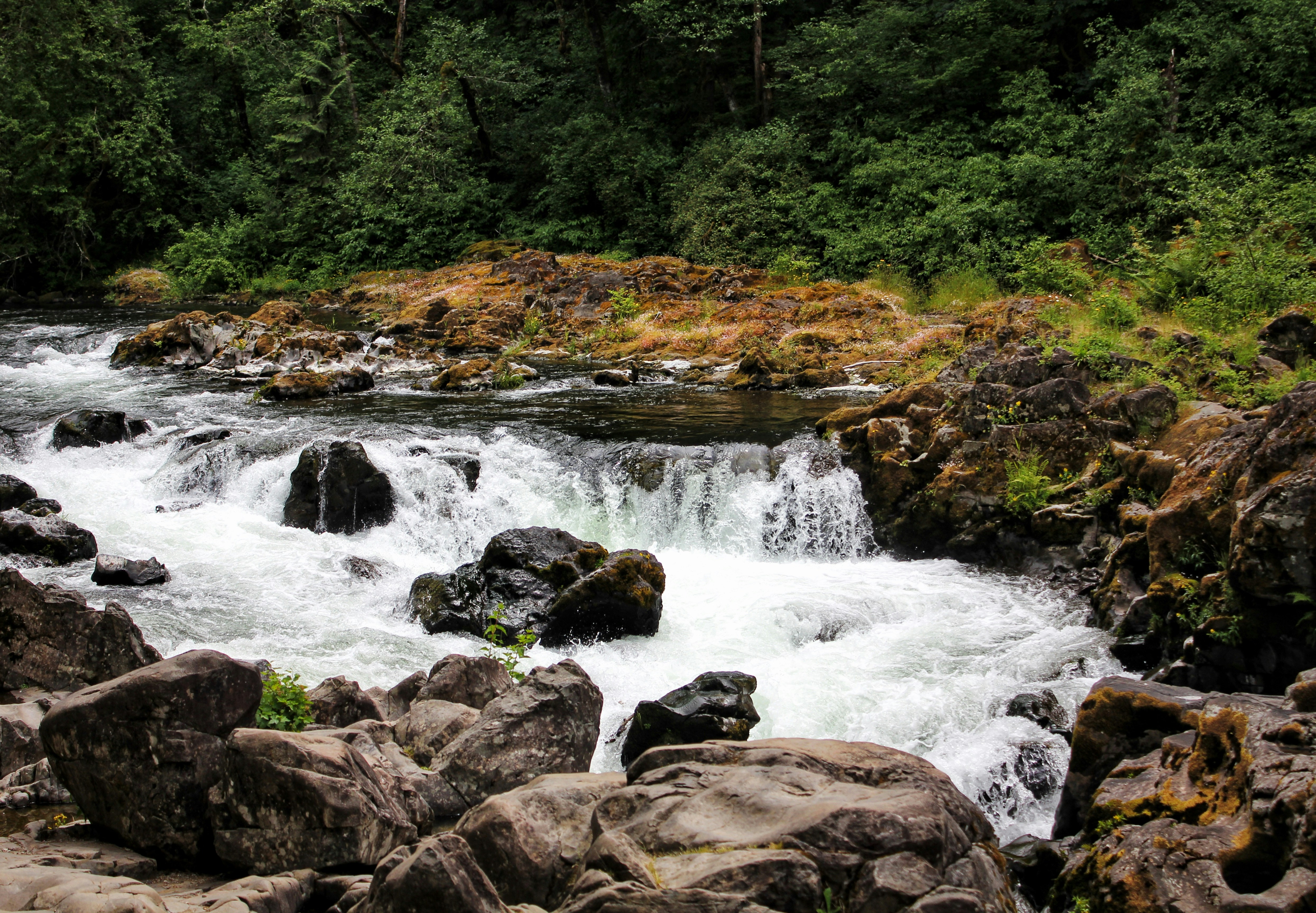 Photo by starlena_belle