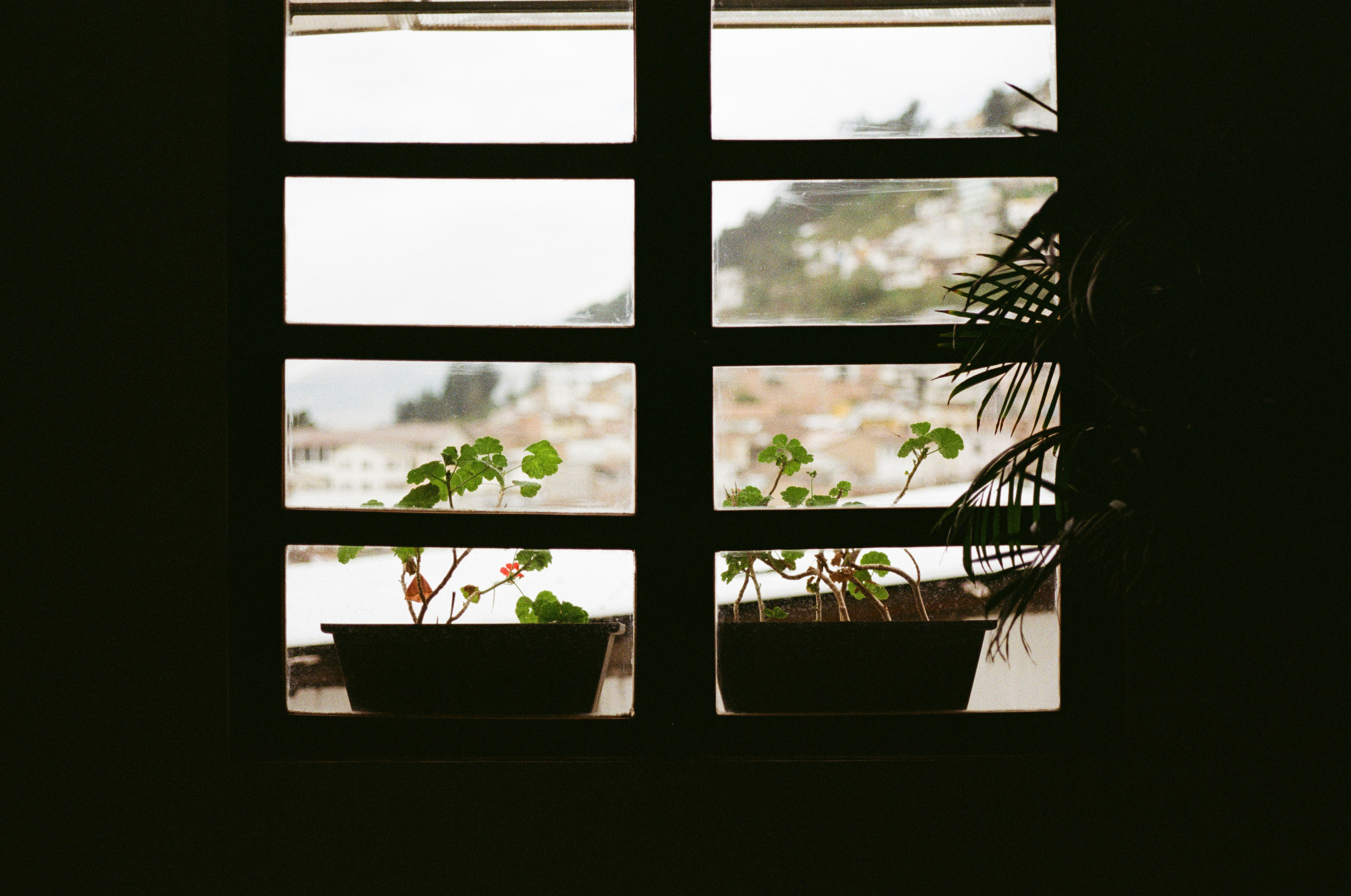Suntek Window Film Review For Your Car