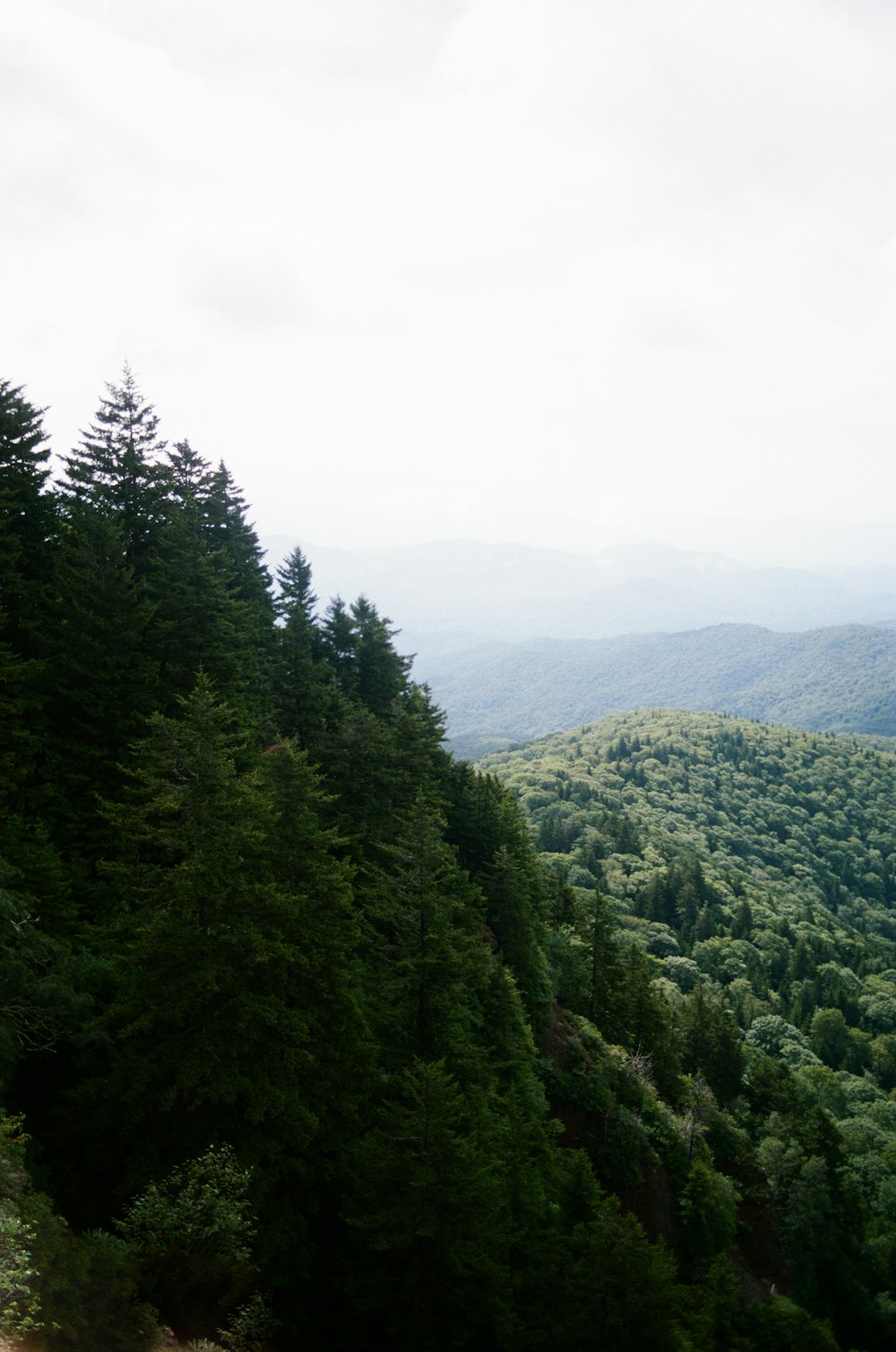árvores verdes na montanha sob o céu branco durante o dia
