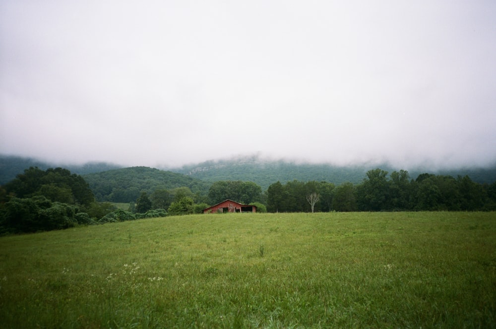 Campo di erba verde vicino alla casa marrone durante il giorno