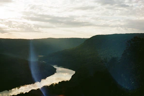 A serene view of Río Celeste winding through lush green jungle under soft morning light