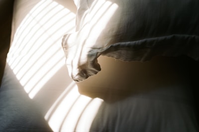 Soft morning light casting gentle shadows over a calm, inviting space.