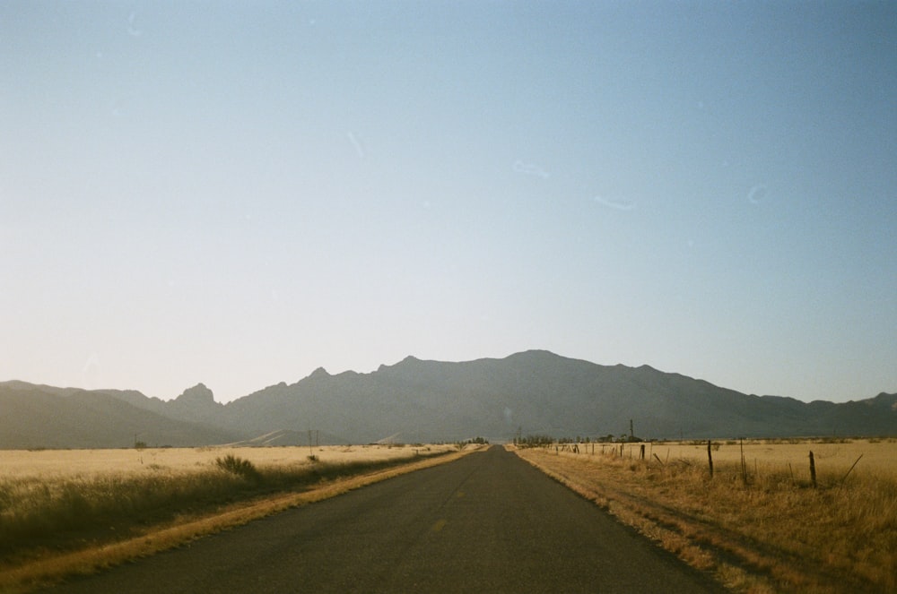 gray asphalt road between green grass field during daytime