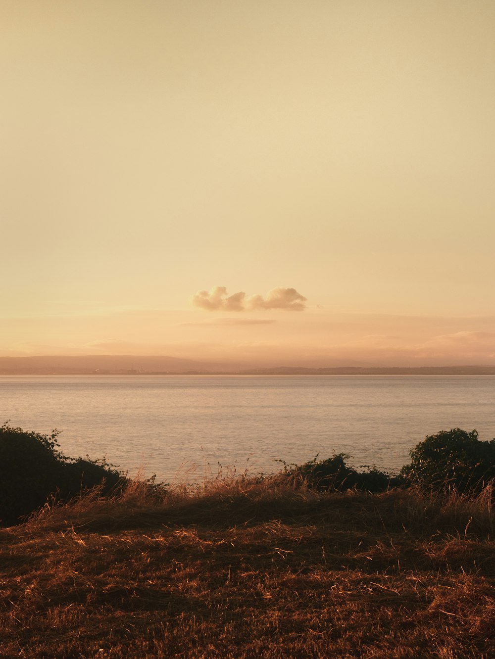 green grass field near sea during daytime