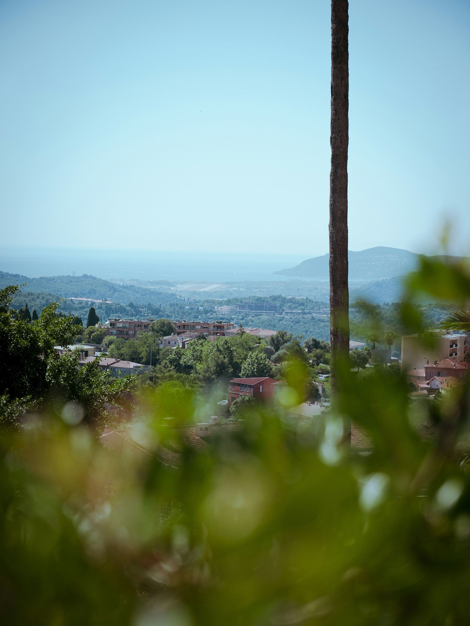 Grasse Weather Guide: Ideal Seasons & Months for a Visit