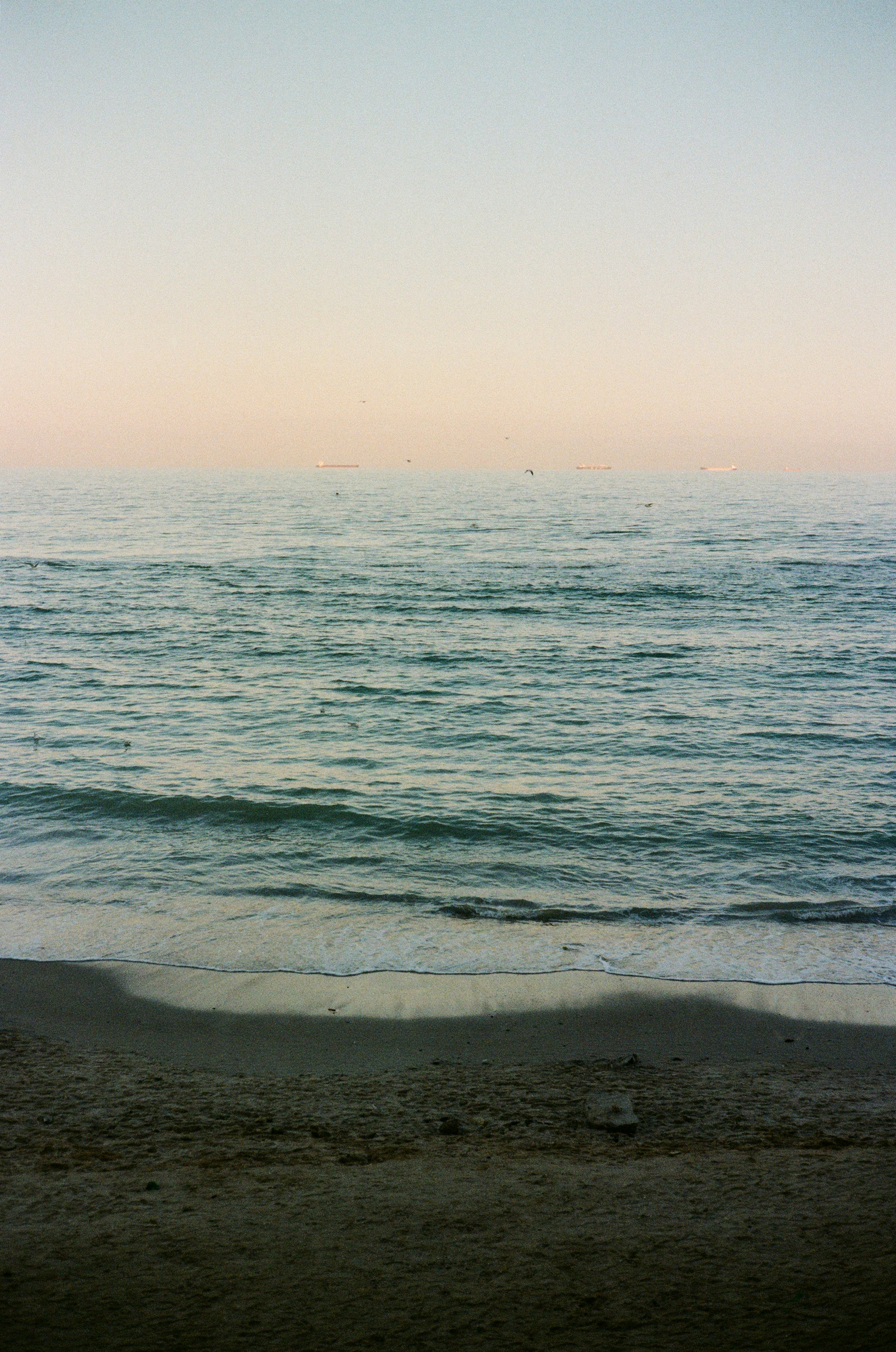 Photo by olenkasergienko