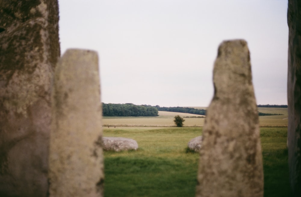 gray rock formation on green grass field during daytime