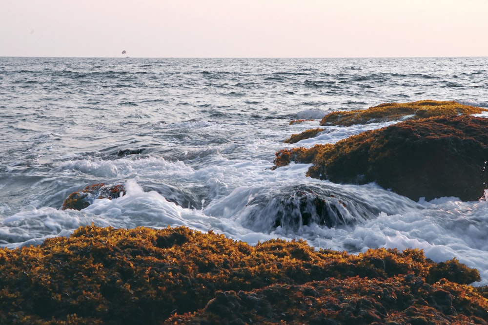 brown rock formation on sea water during daytime