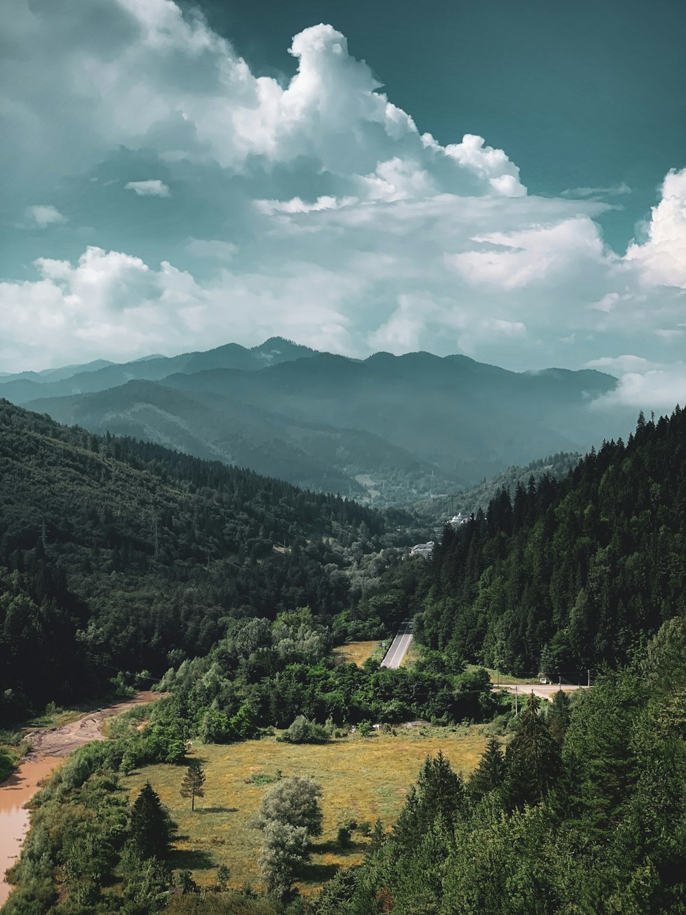 green trees on mountain under cloudy sky during daytime