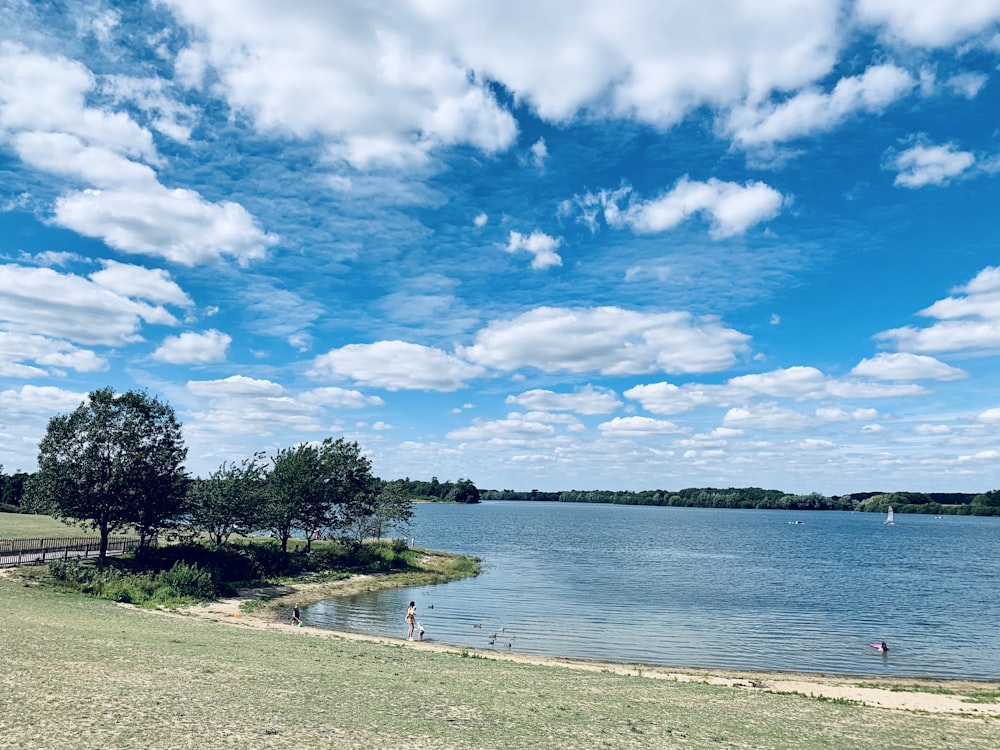 árvores verdes perto do corpo de água sob o céu azul e nuvens brancas durante o dia