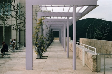green plants on white concrete bridge