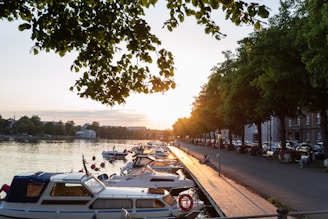 a bunch of boats are parked along the water