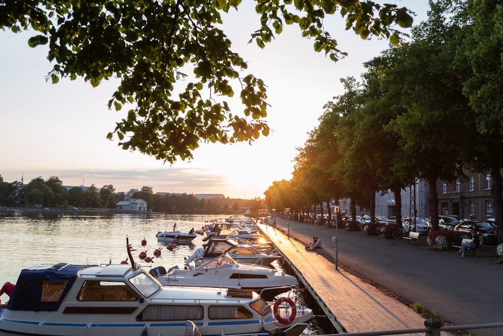 a bunch of boats are parked along the water