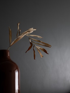 A narrow opening vase showcasing a single elegant stem on a cozy living room shelf.