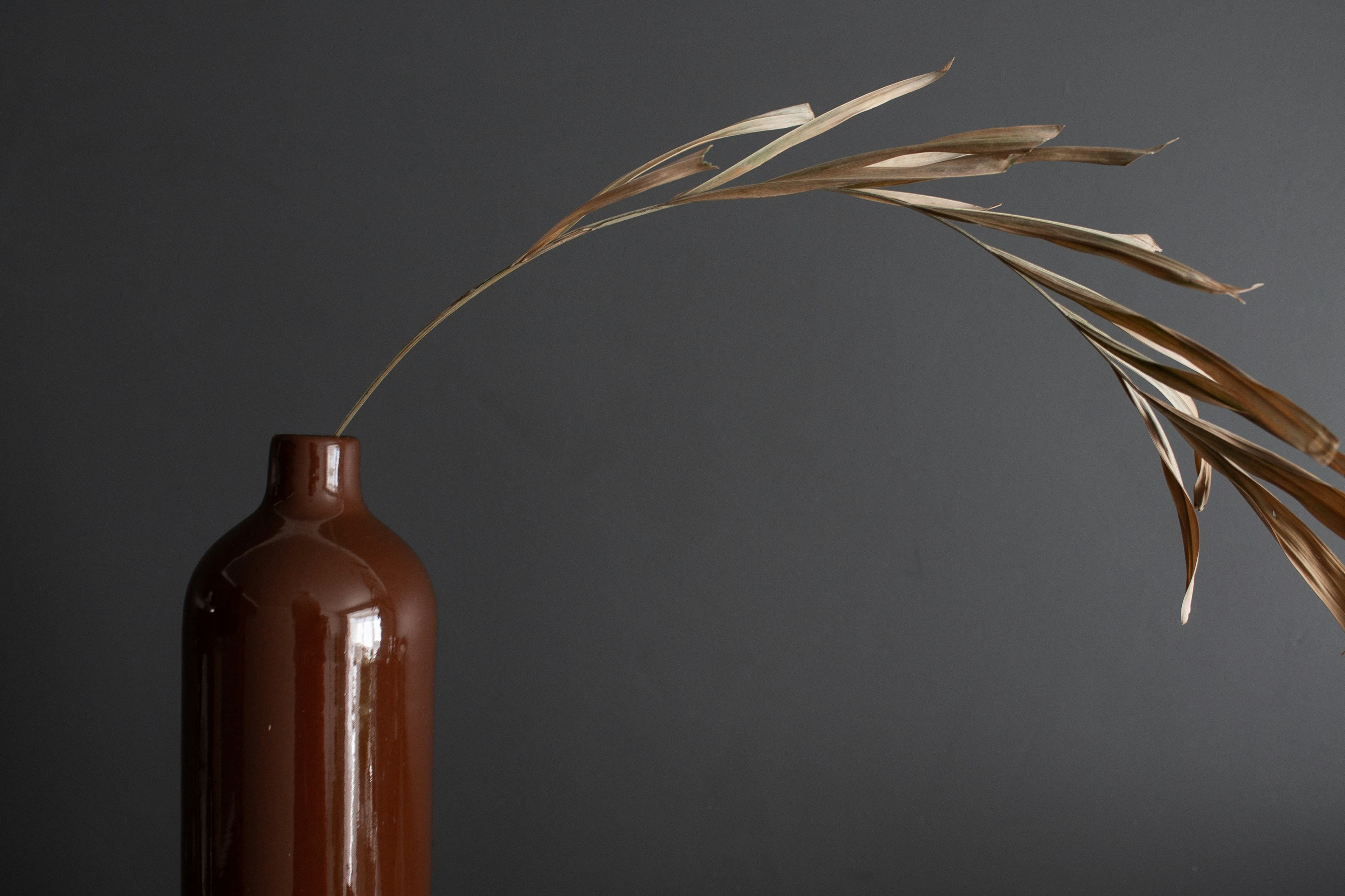 Photo by albina___white