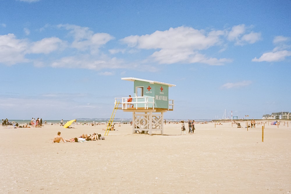 people on beach during daytime