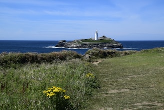 yellow flowers on green grass field near white lighthouse under blue sky during daytime