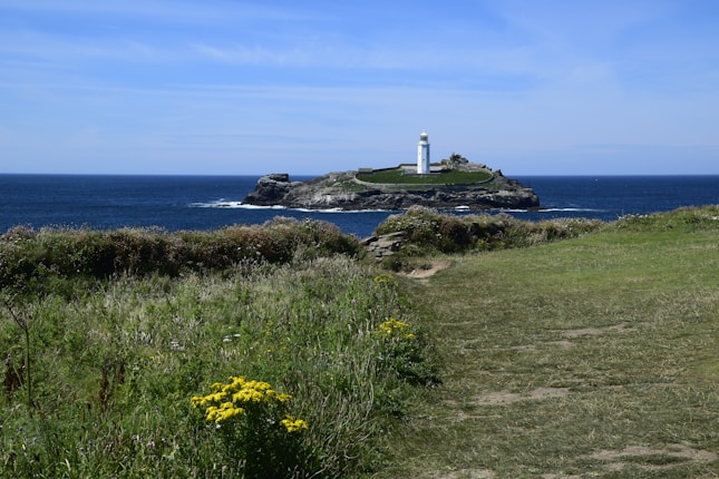 yellow flowers on green grass field near white lighthouse under blue sky during daytime