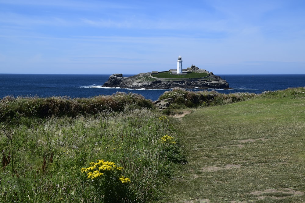 yellow flowers on green grass field near white lighthouse under blue sky during daytime